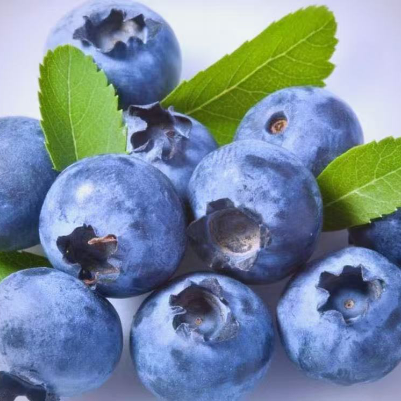 莓朵云云南蓝莓
