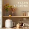 小画仙电煮锅LDZG-0106 商品缩略图5
