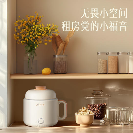小画仙电煮锅LDZG-0106 商品图5