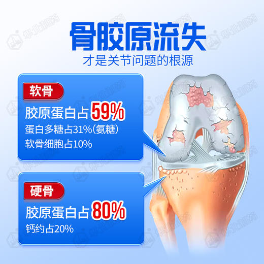 非变性2型骨胶原蛋白复合片 60片/盒 商品图2