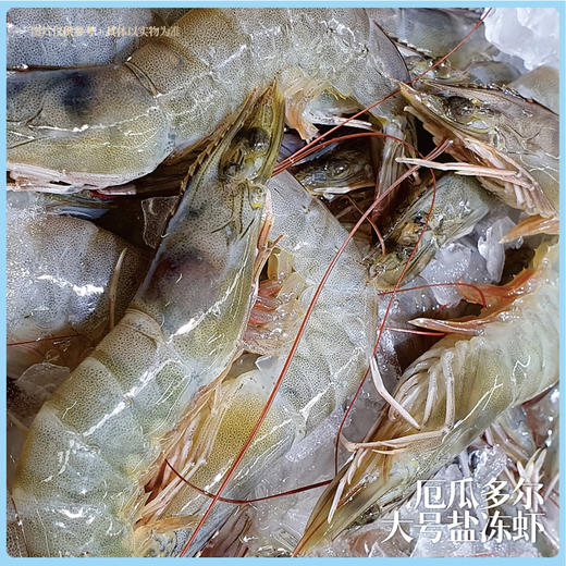 【现货】超级锦鲤进口海鲜礼888型 商品图3