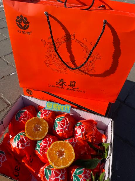 寸金地春见丑橘一箱 商品图3