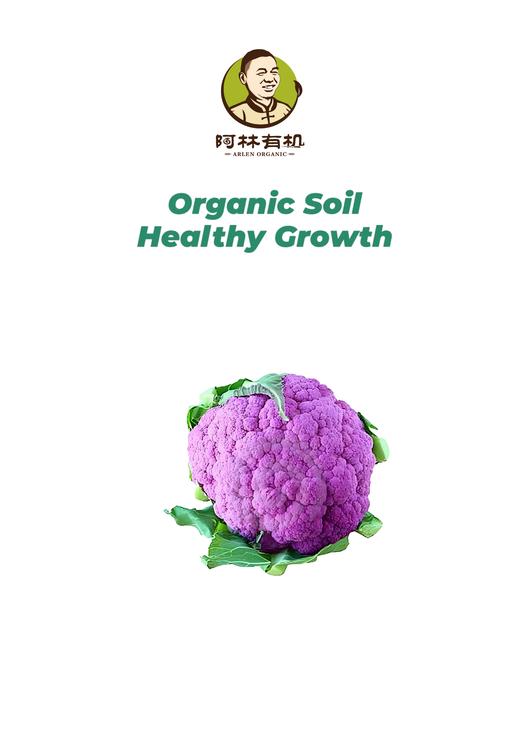 有机紫花菜500g 商品图0