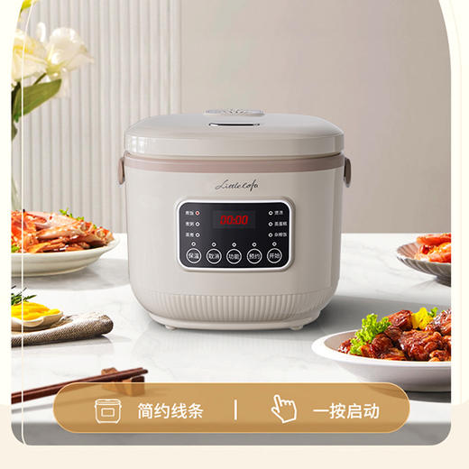 小画仙电饭煲LDFB-4069E 商品图1