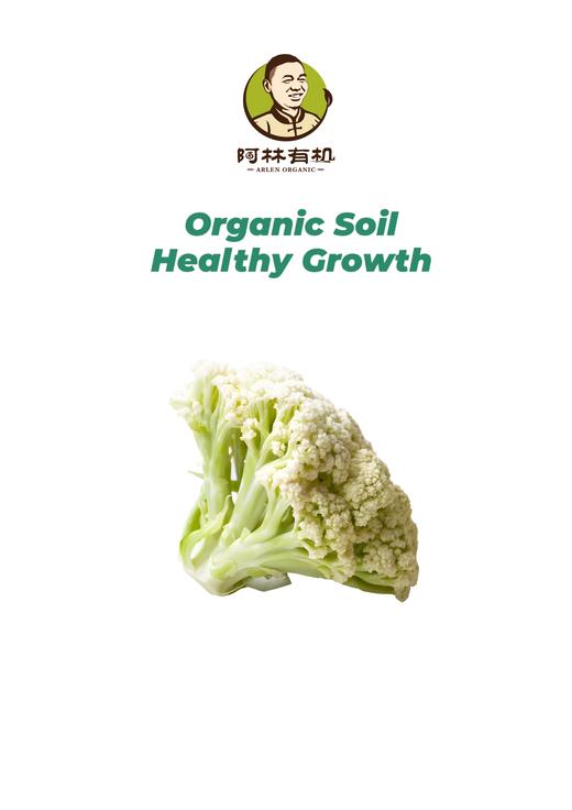 有机松花菜500g 商品图0