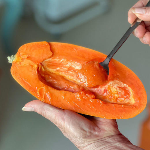 海南红心牛奶木瓜 商品图2