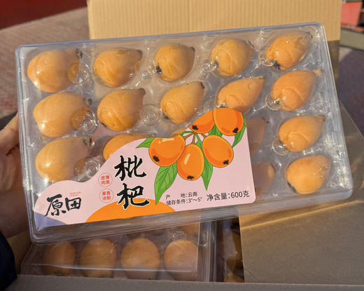 长虹枇杷  口感润田 这个季节枇杷界甜度高的 商品图7