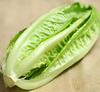 有机罗马生菜 商品缩略图2