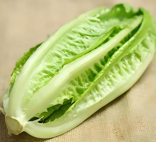 有机罗马生菜 商品图2