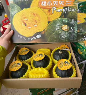 甜心贝贝南瓜5个装