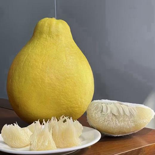 【严选】【金新农】广东沙田柚白肉柚子金柚碌柚水果沙田柚 二级果4-5斤净重（2个）       （厂家直发） 商品图0