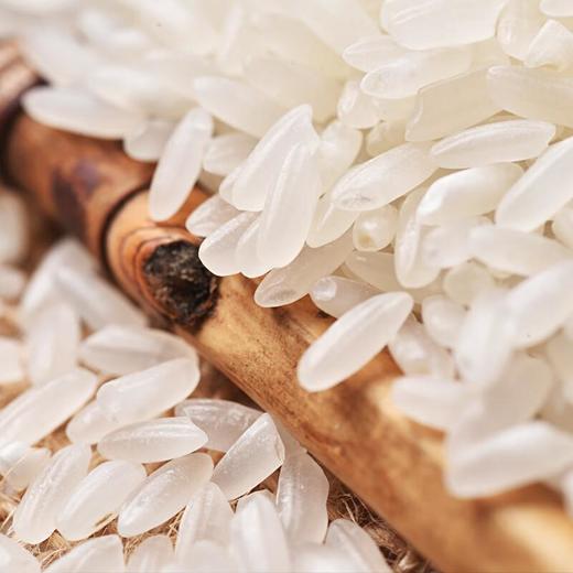 天仁道有机五常大米(特等) 5kg/袋 商品图2