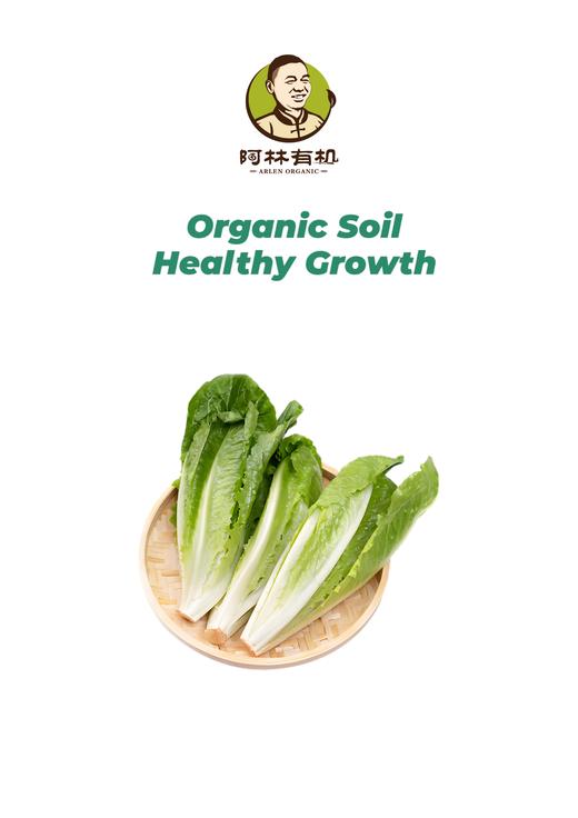 有机罗马生菜 商品图0