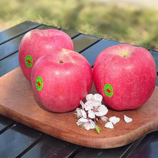 华圣苹果4粒装 约800g/份（果型大小80mm-85mm） 商品图0