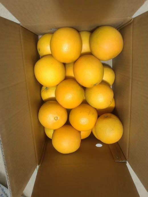 【严选】【金新农】福建中华血橙爆汁红肉甜橘子中华红血橙统果4.5-5斤装    （厂家直发） 商品图3