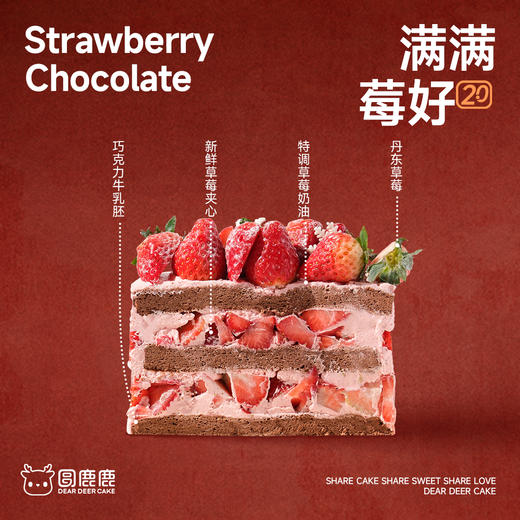 满满莓好2.0 商品图2