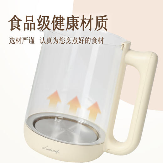 小画仙养生壶LYSH-1805E 商品图5