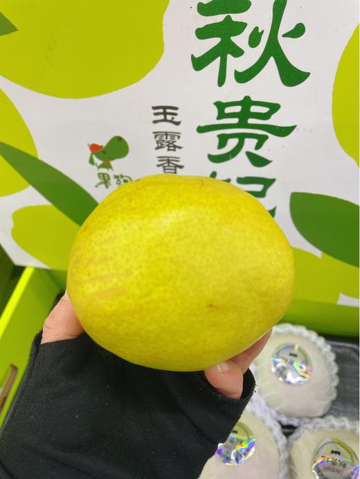 玉露梨礼盒 商品图1