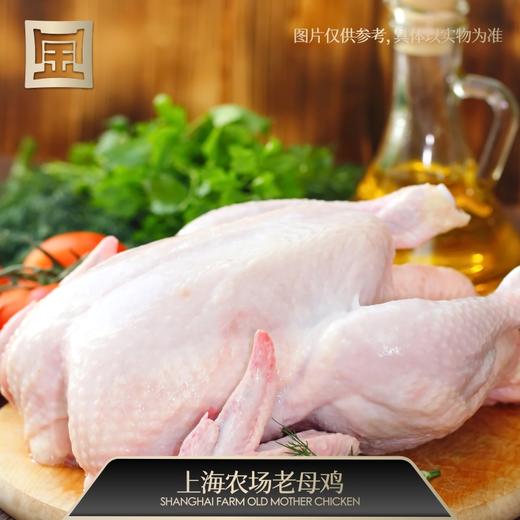 【现货】地标生鲜组合528型 商品图4