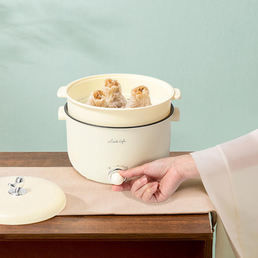 小画仙电火锅KDZG-1003-L 商品图4