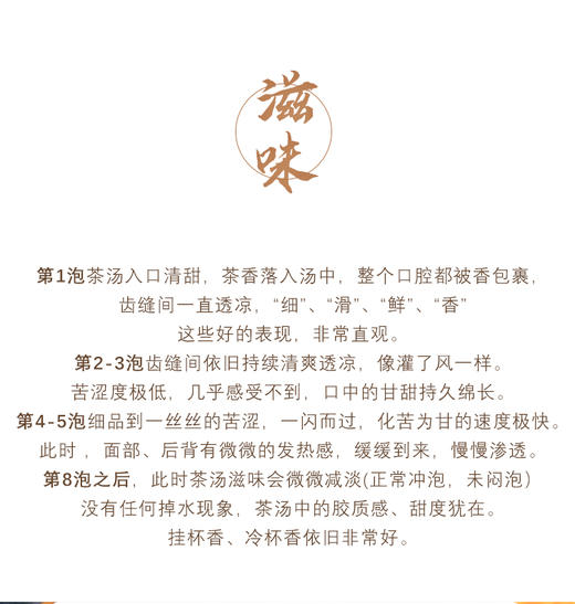 生普| 【镇店之宝】2025年困鹿山核心区 细叶种古树龙珠8g*20颗 商品图12