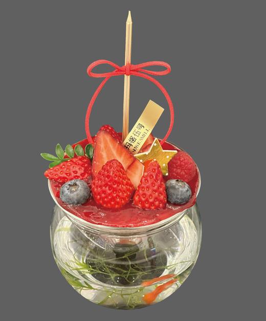 金鱼秘境 商品图1