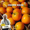 生态金桔（申通快递，春节正常发货） | 合作生产*Eco-Kimquat | Partner Production 商品缩略图0