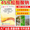 大鹏45%松脂酸钠升级版蚧壳虫专用柑橘果树介壳虫清园剂农用正品 商品缩略图4