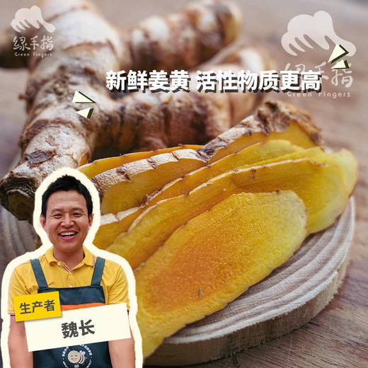 生态姜黄| 合作生产*Ecological turmeric| Partner Production 商品图0