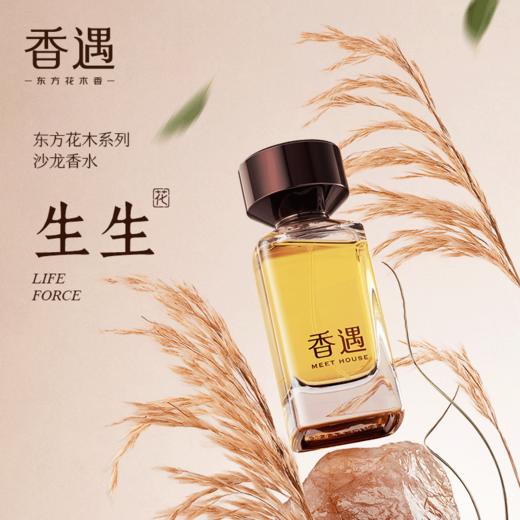 生生50ml 商品图0