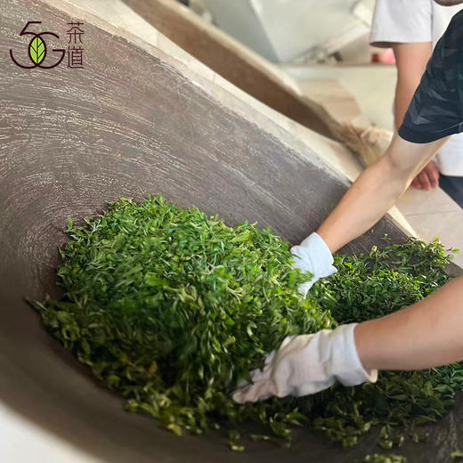 生普| 【镇店之宝】2025年困鹿山核心区 细叶种古树龙珠8g*20颗 商品图5