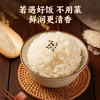 臻米闽韵5kg  伊盆河龙贡米 商品缩略图2