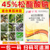 大鹏45%松脂酸钠升级版蚧壳虫专用柑橘果树介壳虫清园剂农用正品 商品缩略图3