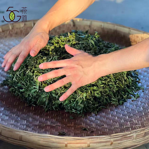 生普| 【镇店之宝】2025年困鹿山核心区 细叶种古树龙珠8g*20颗 商品图4