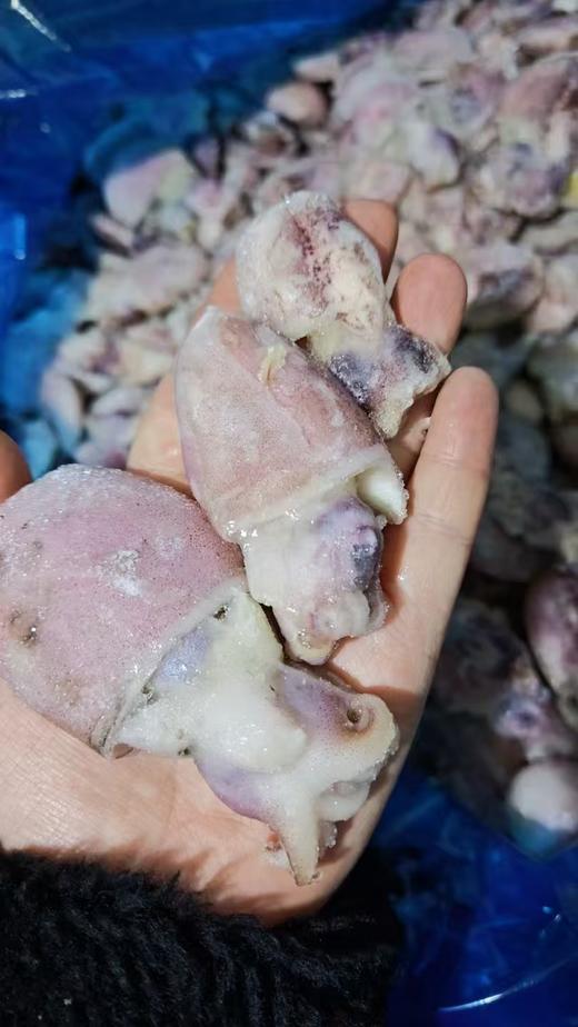 墨鱼仔一袋 商品图1