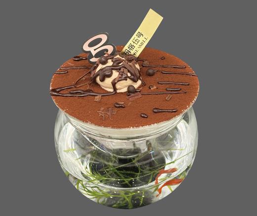 金鱼秘境 商品图0