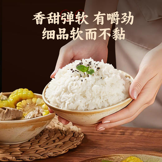 臻米闽韵5kg  伊盆河龙贡米 商品图4