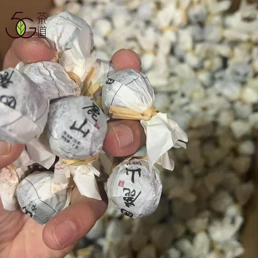 生普| 【镇店之宝】2025年困鹿山核心区 细叶种古树龙珠8g*20颗 商品图2