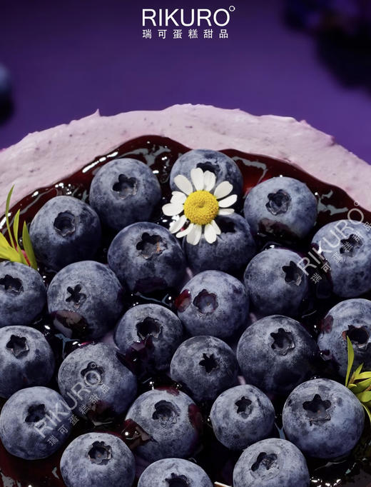 🫐蓝莓秘境 | 蓝莓酸奶酪奶油生日蛋糕 商品图1