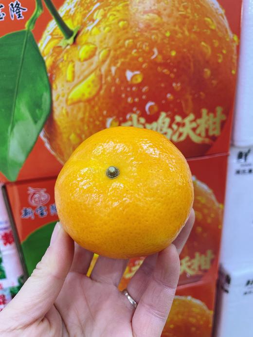 武鸣沃柑一箱 商品图1