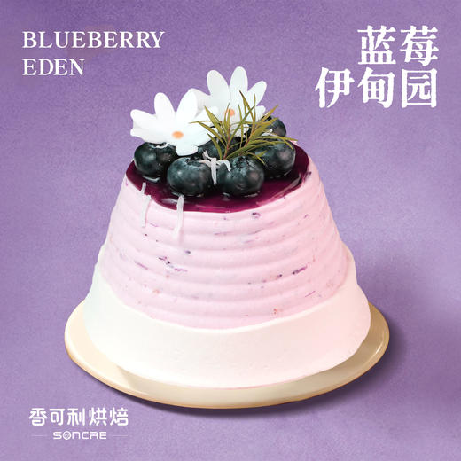 蓝莓伊甸园 商品图0