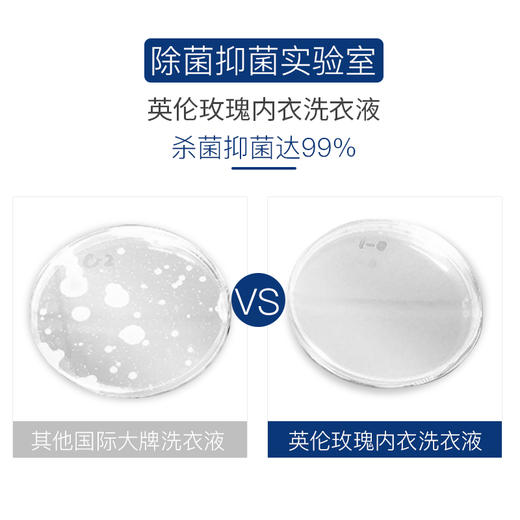 花卉诗蓝桉精华除螨抑菌内衣洗衣液 商品图2