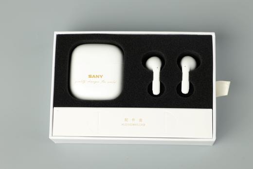 三一定制真无线蓝牙耳机DZ-3 商品图1