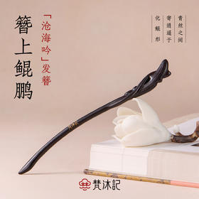 梵沐记沧海吟发簪