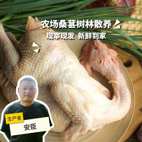 生态冷鲜鸡份额（母鸡，客服打电话确认后发货）| 绿家自产* Eco-Chilled chicken shares | Self-production