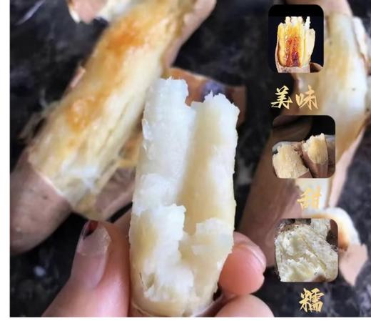 哈蜜薯（箱） 商品图5