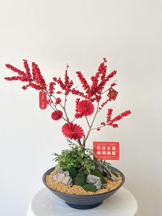 冬青ALBB/468 商品图0