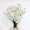 3月21日白色豌豆花-50支易损花材，联系客服拍照发货发出没有售后 商品缩略图0