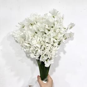 3月21日白色豌豆花-50支易损花材，联系客服拍照发货发出没有售后