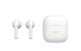 三一定制真无线蓝牙耳机DZ-3